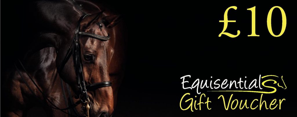 Equestrian Gift Voucher Stationery